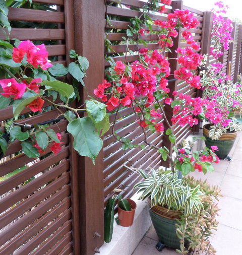 Gaia On Bribie Island - Whitsundays Accommodation 43