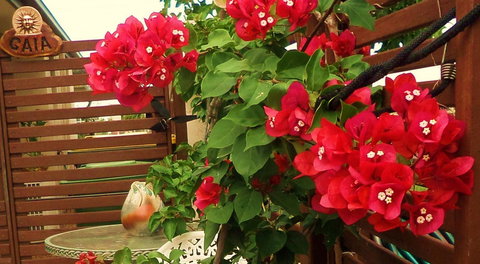 Gaia On Bribie Island - Whitsundays Accommodation 26