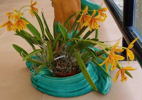 Gaia On Bribie Island - Whitsundays Accommodation 44