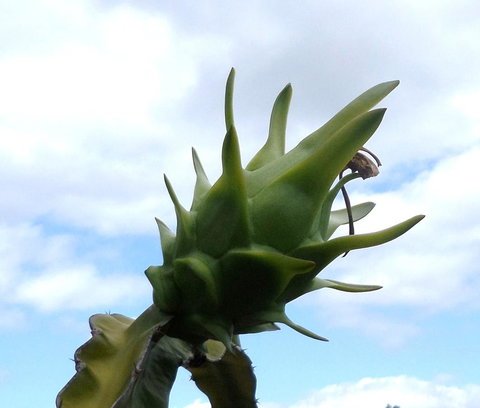 Gaia On Bribie Island - Whitsundays Accommodation 22