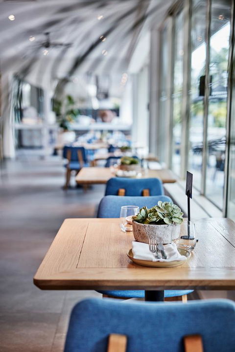 Novotel Cairns Oasis Resort - Whitsundays Accommodation 19