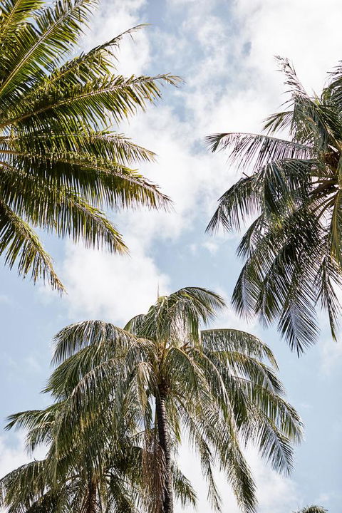 Novotel Cairns Oasis Resort - Whitsundays Accommodation 9