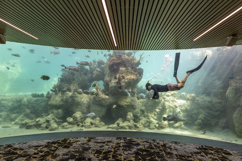 Daydream Island Resort - Whitsundays Accommodation 28