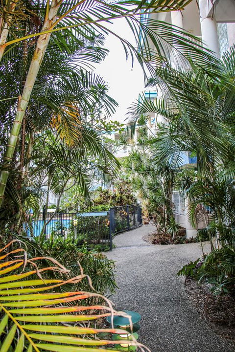 Surfers Beach Holiday Apartments - Whitsundays Accommodation 11