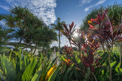 Currumbin Sands On The Beach - Whitsundays Accommodation 9