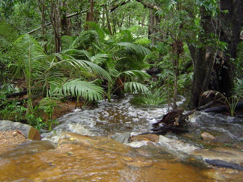 Forest Lodge: Little Villa - Whitsundays Accommodation 17