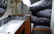 Forest Lodge: Little Villa - thumb 10
