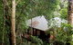 Cairns Rainforest Retreat - thumb 0