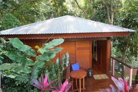 Cairns Rainforest Retreat - Whitsundays Accommodation 5