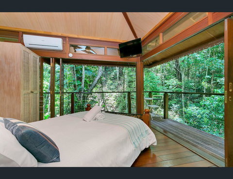 Cairns Rainforest Retreat - Whitsundays Accommodation 9