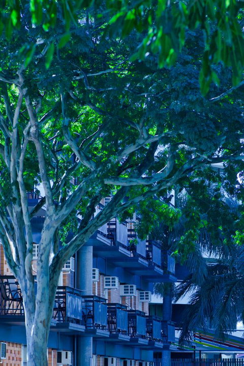 Soho Brisbane - Whitsundays Accommodation 12