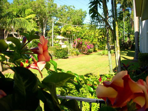 Clifton Sands Holiday Units - Whitsundays Accommodation 38