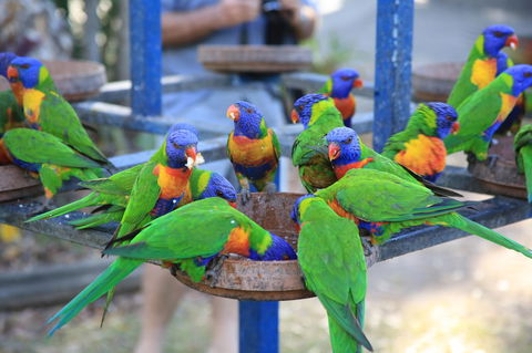 Tasman Holiday Parks - Airlie Beach - Whitsundays Accommodation 23
