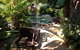 Bluewater Bed & Breakfast Cairns - thumb 9