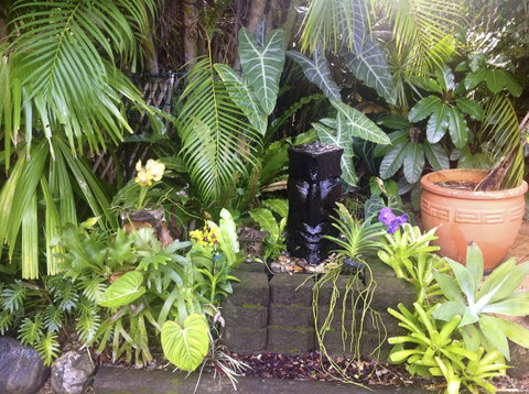 Bluewater Bed & Breakfast Cairns - Whitsundays Accommodation 16