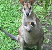 Bluewater Bed  Breakfast Cairns - Whitsundays Accommodation