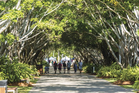 Hides Hotel - Whitsundays Accommodation 35
