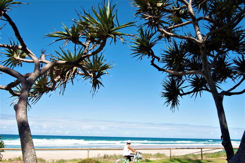 Grande Florida Beachside Resort - Whitsundays Accommodation 34