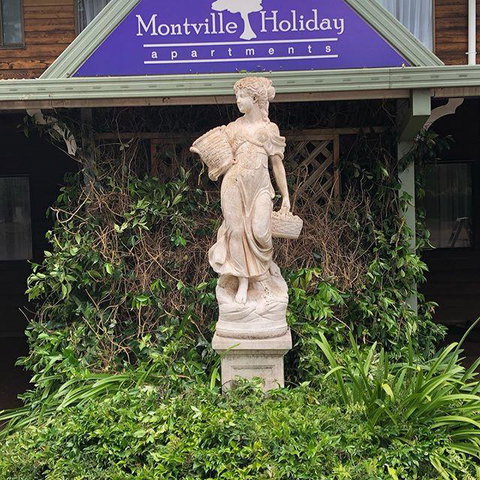Montville Holiday Apartments - Whitsundays Accommodation 6