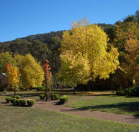 Willowlake Cottages - Whitsundays Accommodation