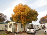 Book Wodonga Accommodation Vacations Whitsundays Accommodation Whitsundays Accommodation
