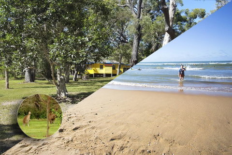 Yellow Cottage - Bush And Beach - Whitsundays Accommodation 0