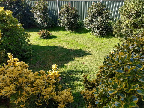 Young Goldrush Motel - Whitsundays Accommodation 3