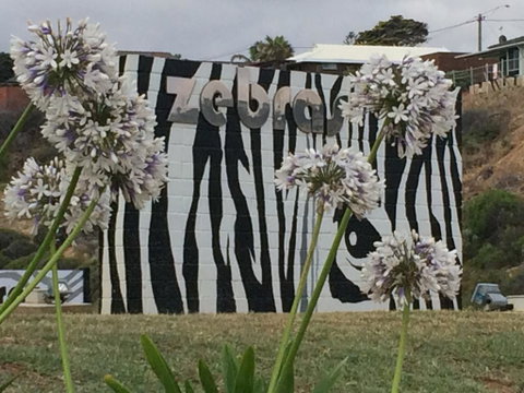 Zebras Guest House Geraldton - Whitsundays Accommodation 0