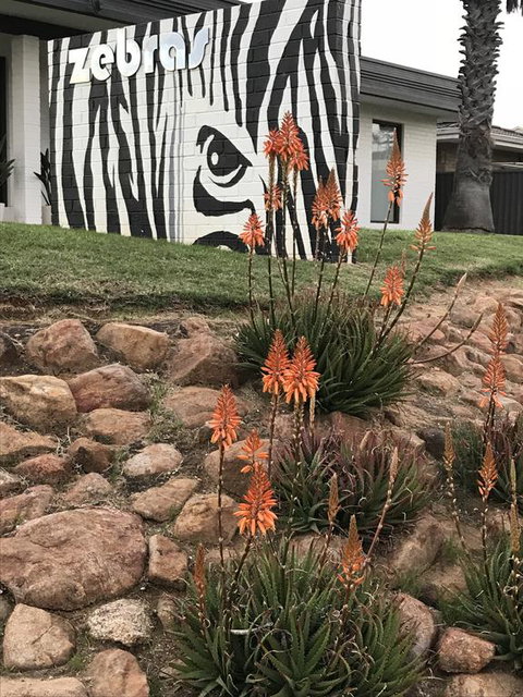Zebras Guest House Geraldton - Whitsundays Accommodation 1