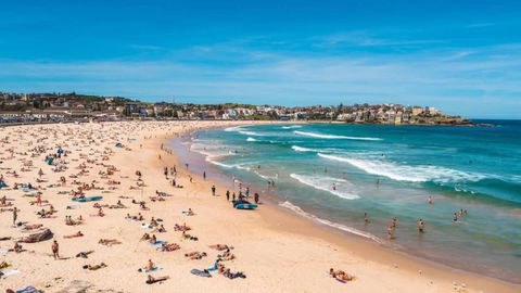 A Lovely Beach Studio 5min Walk To Bondi Beach - Whitsundays Accommodation 2