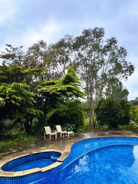 A Lovely Pool House In Forest - Whitsundays Accommodation 2