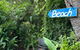 Absolute Beach Front Home -Dogs, Surf, Relax, Bush - thumb 2