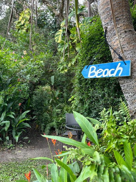 Absolute Beach Front Home -Dogs, Surf, Relax, Bush - Whitsundays Accommodation 2