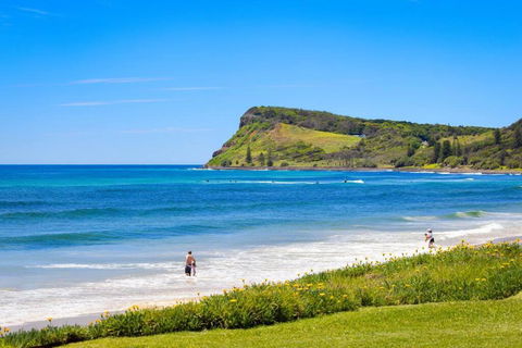 Absolute Beachfront Apartment 11B - Whitsundays Accommodation 3