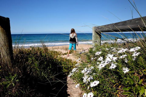 Absolute Beachfront Mollymook - Whitsundays Accommodation 4