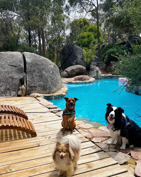 A Paradise For Dogs And A Magical Retreat For Hoomans - Whitsundays Accommodation 1