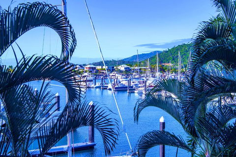 Absolute Luxury Marina Lifestyle At The Port Of Airlie Beach - Whitsundays Accommodation 4