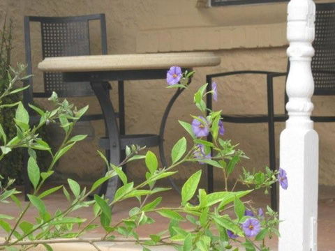 Amalie Cottage Waikerie Unit 1 - Whitsundays Accommodation 2