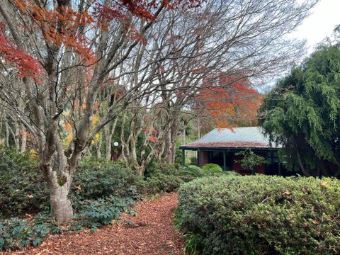 Amaroo Guesthouse - Whitsundays Accommodation 1