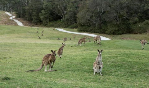 Anglesea River Apartment 23 - Whitsundays Accommodation 4