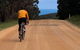 Anglesea Rivergums - thumb 4