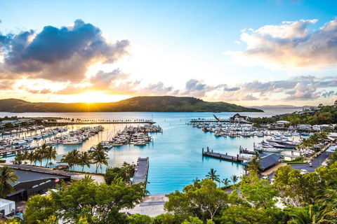 Allure On Hamilton Island By HIHA - Whitsundays Accommodation 2