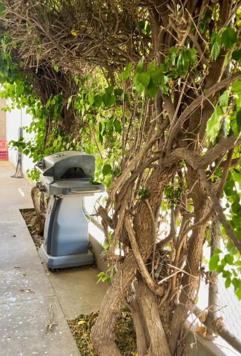 Argent Abode CBD - Whitsundays Accommodation 1