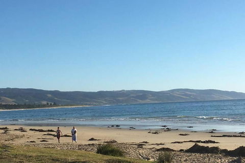 Apollo Blue Oceanview Unit 1- B Free WIFI - Whitsundays Accommodation 0