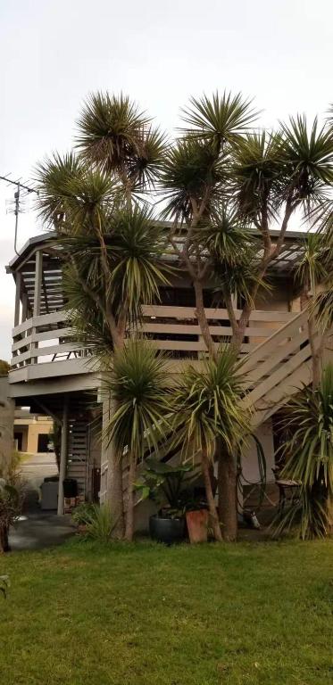 Apollo Stay - Whitsundays Accommodation 2