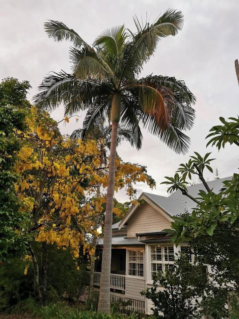 Arcadia House - Whitsundays Accommodation 3