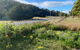 Aruma Cottage Bruny Island - thumb 2