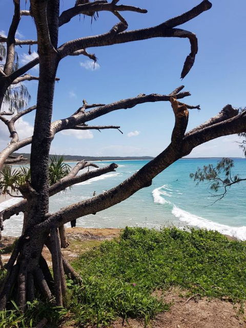 At Melaleuca 3 - Whitsundays Accommodation 2
