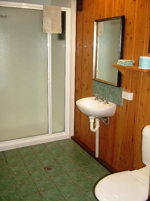 Atherton Blue Gum - Whitsundays Accommodation 4