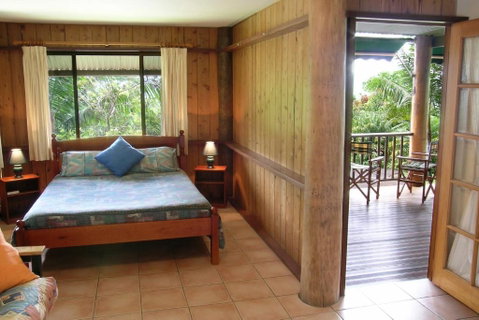 Atherton Blue Gum - Whitsundays Accommodation 1